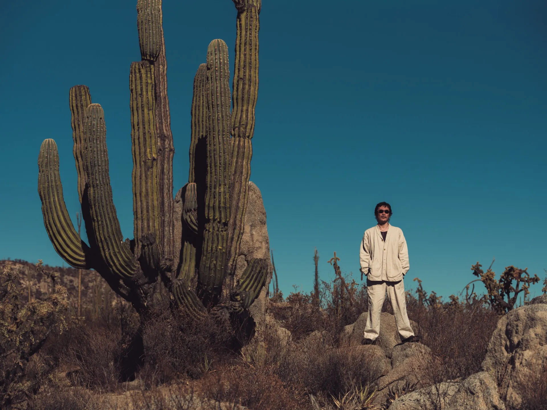 何年たっても色褪せずに輝き続ける写真