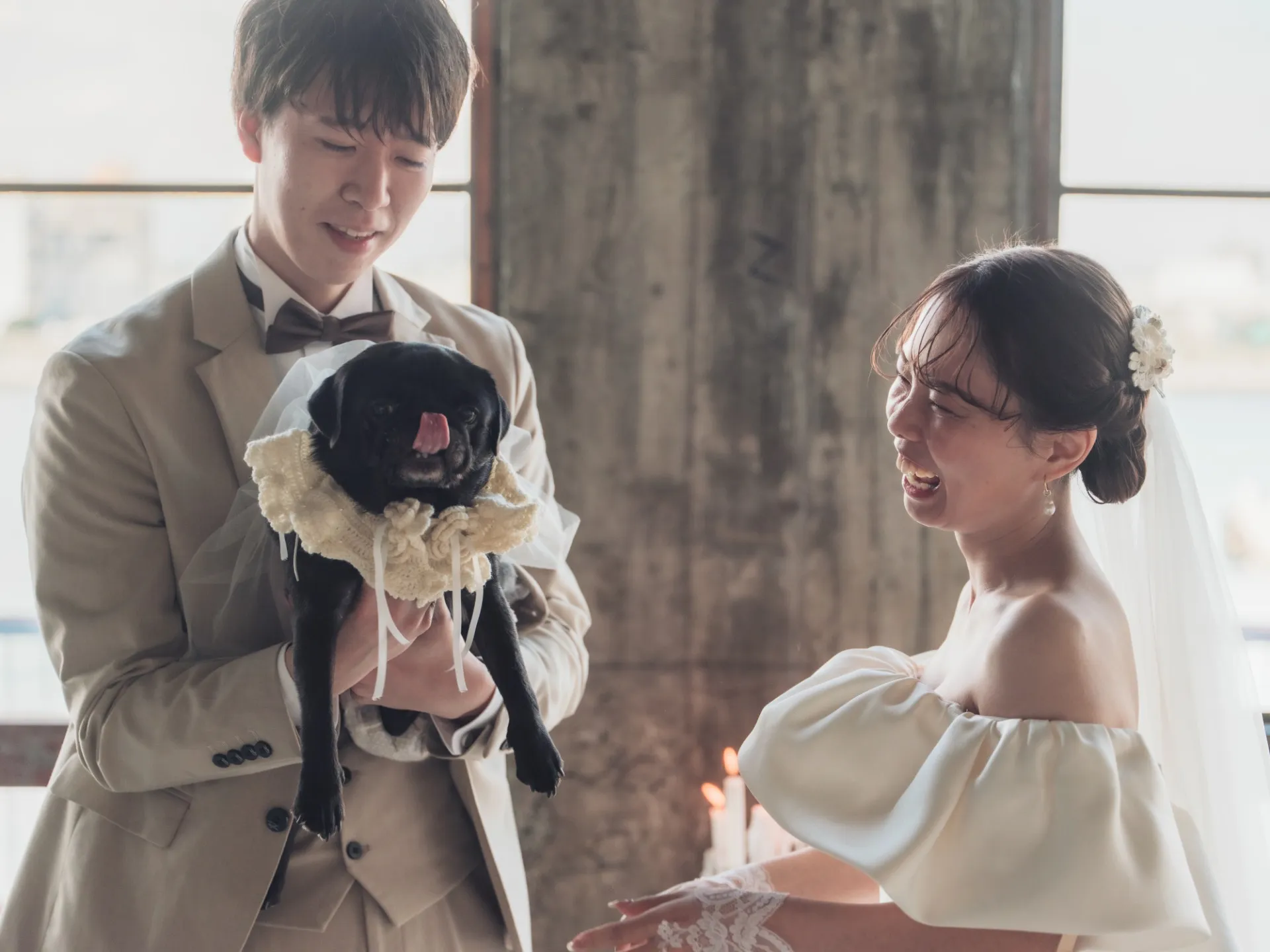 スタジオセレモニー